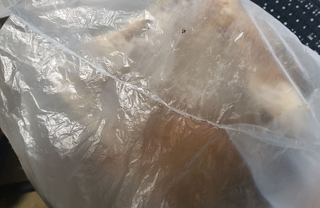 med v plástu v kyblíku II