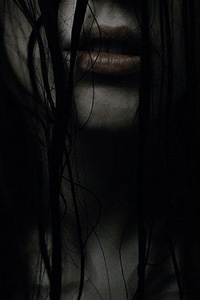 Immagine di Acanthia