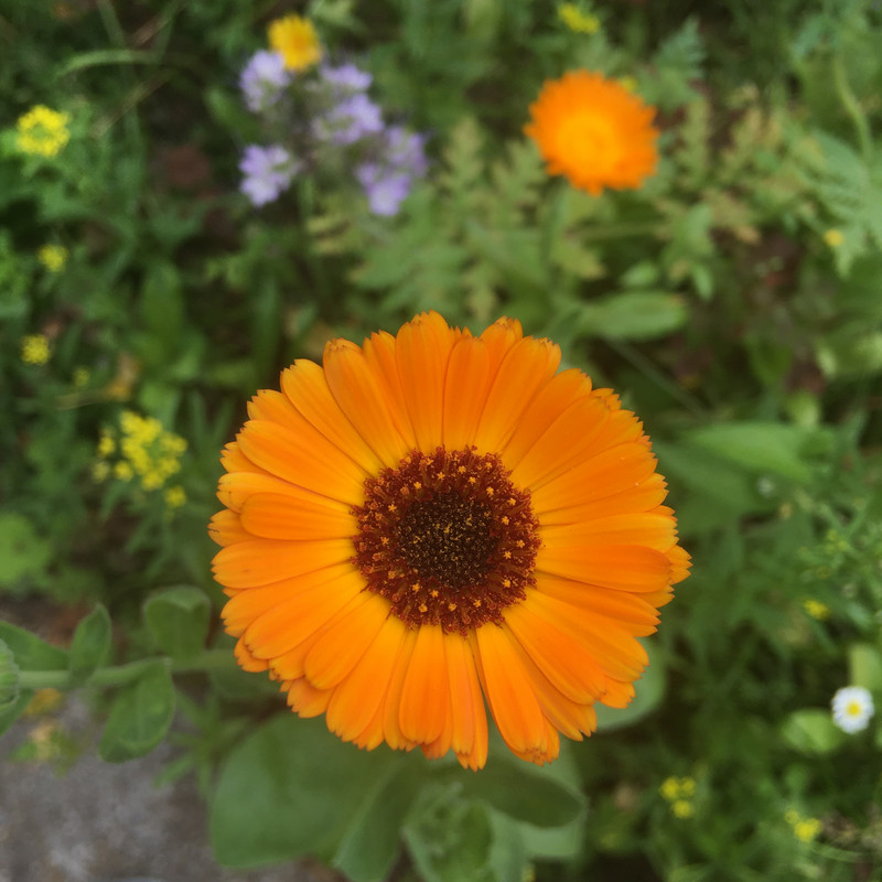 дачное и по ремонту недоделки 050