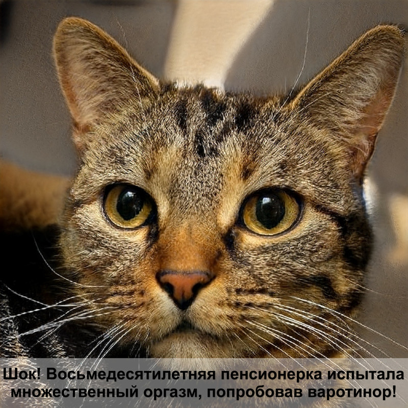 таблетки от глистов для котов