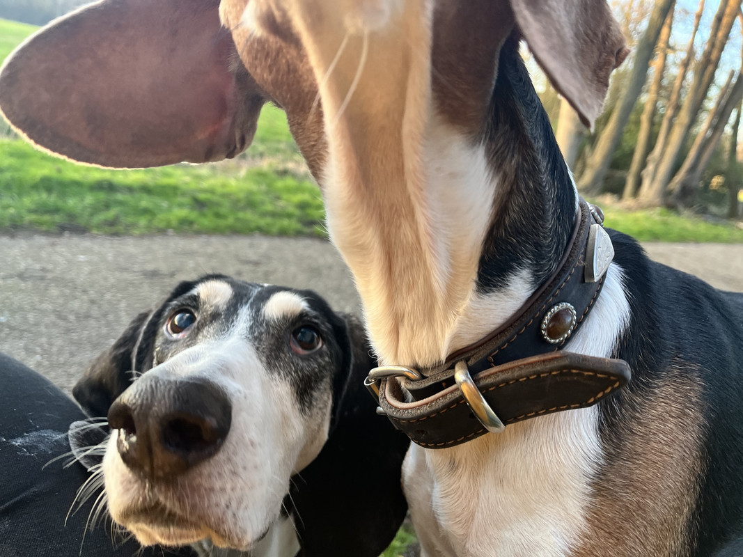 75D734B8-3E96-4EC5-B549-F570E438A4A8