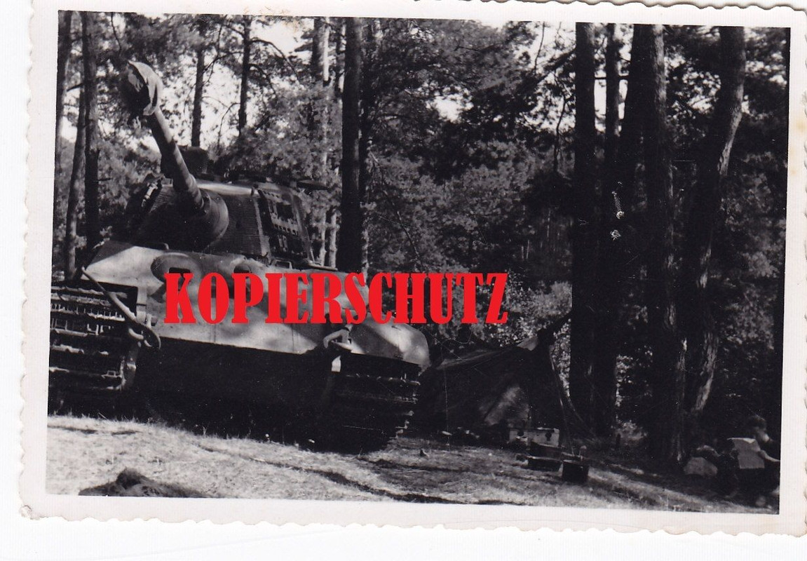 schwere Panzerabteilung Tiger II Königstiger Sd.