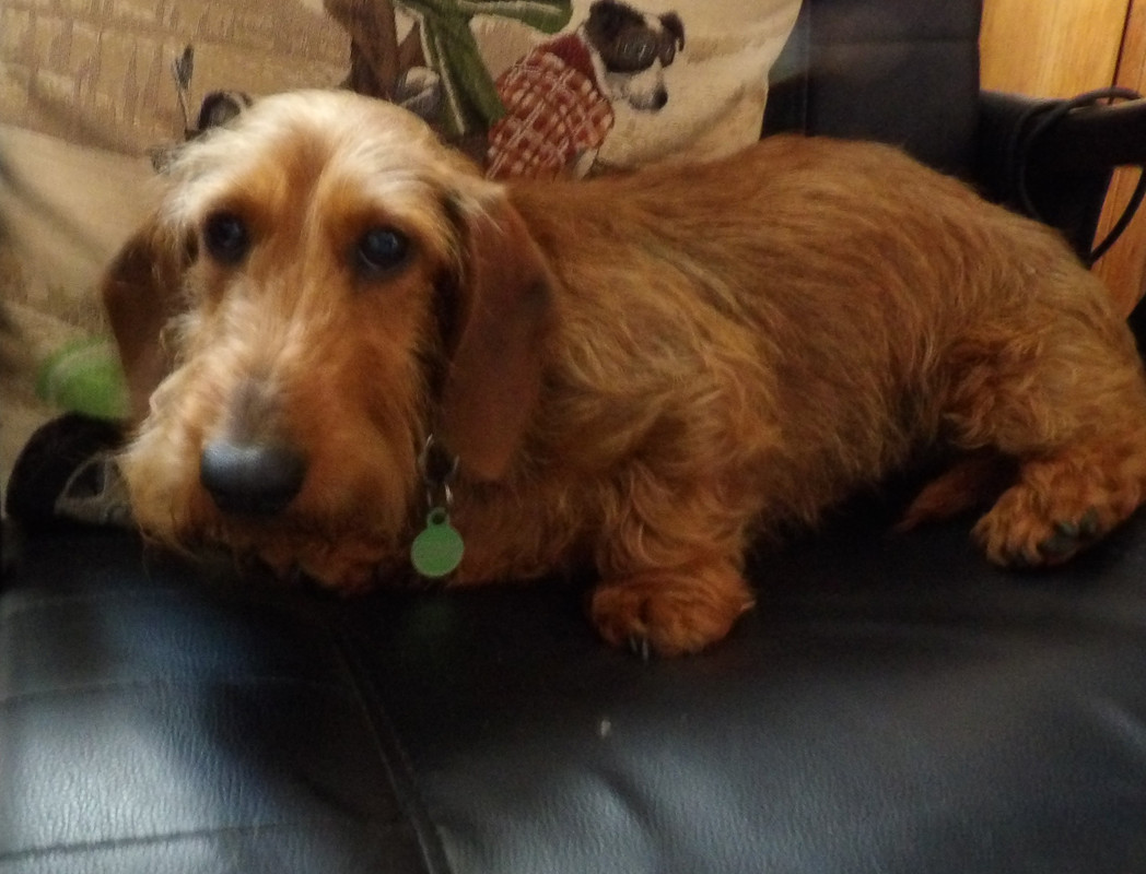 [Image: 125-0180.jpg]