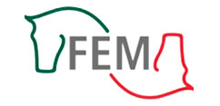FEM
