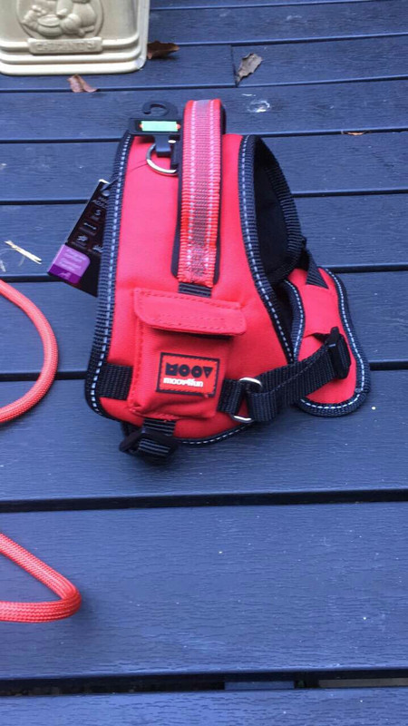 8AE554AD-725E-4A2D-B263-9A5CB7738EC7