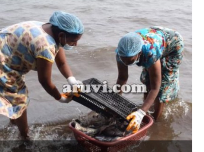 Screenshot-2020-11-19-12-14-26-533-com-a