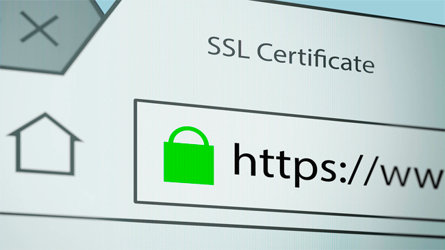 Prohoster SSL сертификат Image