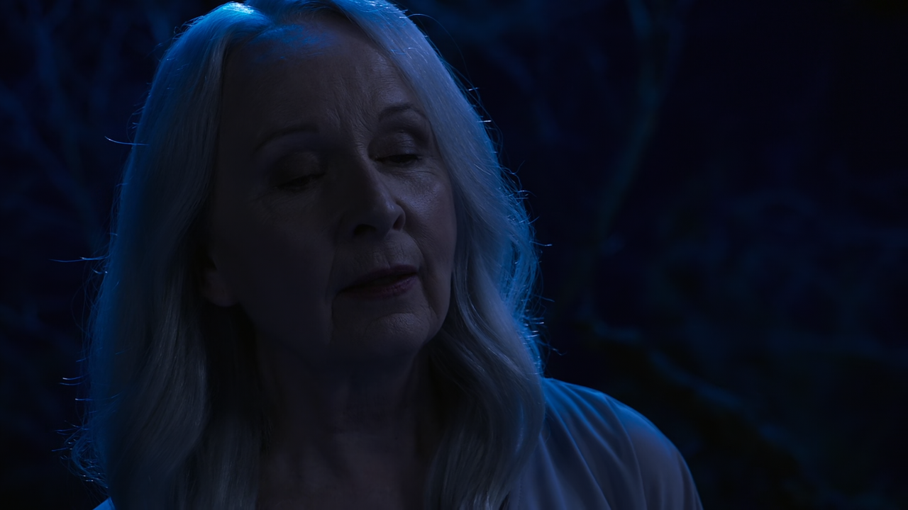 Supergirl.S06E10.Still.I.Rise.1080p.10bit.AMZN.WEB-DL.DDP5.1.HEVC-Vyndros.mkv_snapshot_15.26_[2021.0