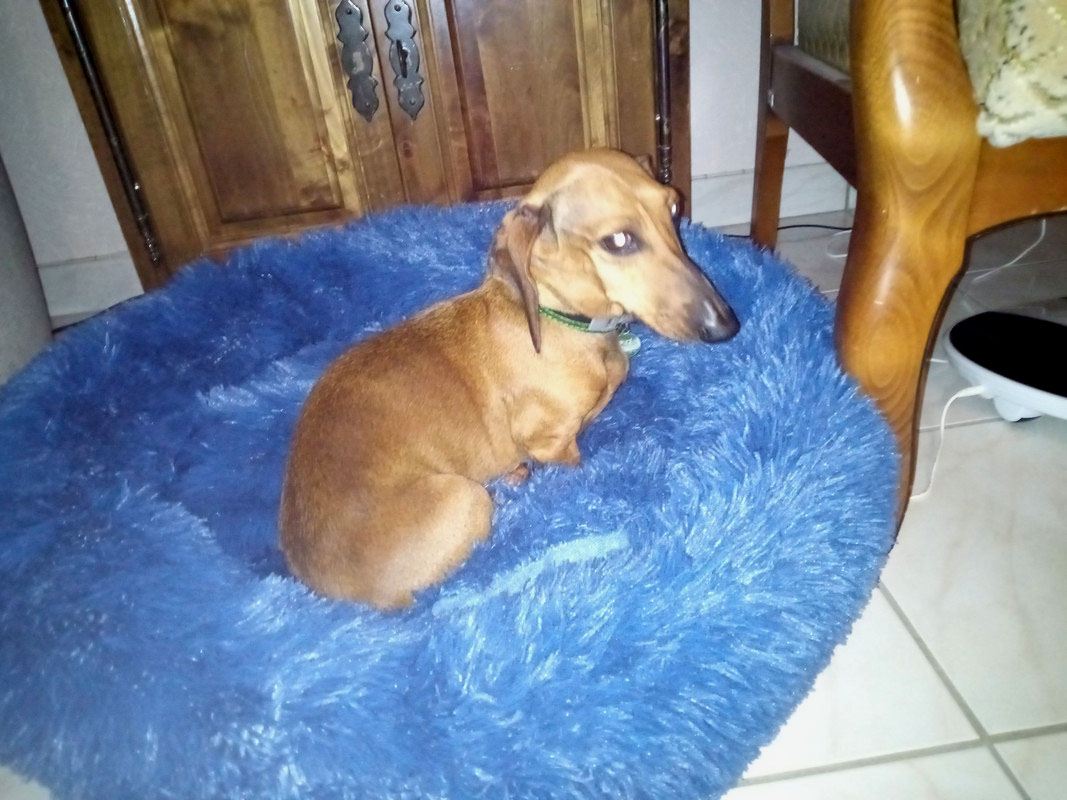 [Image: IMG-2024-04-06-20-18-56-130.jpg]