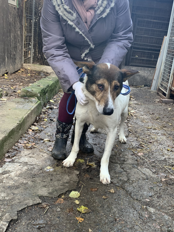 79EDF72A-9E2A-4F65-9CDC-634BFE8DC0C2