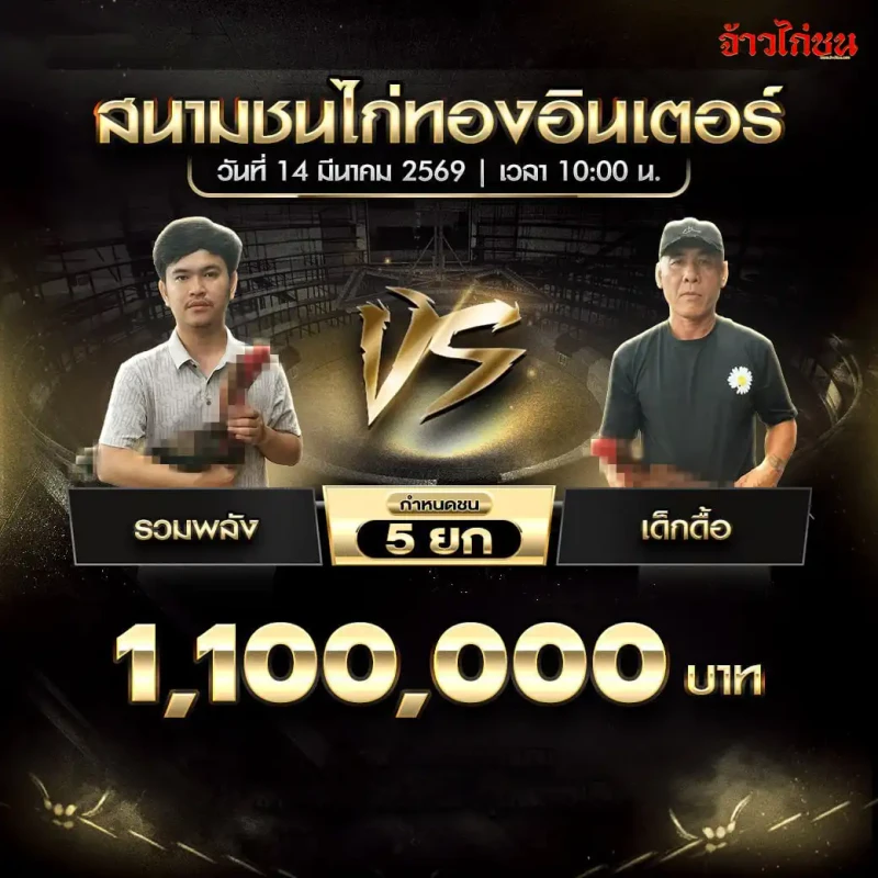 โปรแกรมไก่ชน คู่ รวมพลัง พบ เด็กดื้อ สนามชนไก่ทองอินเตอร์ 14 มีนาคม 2569
