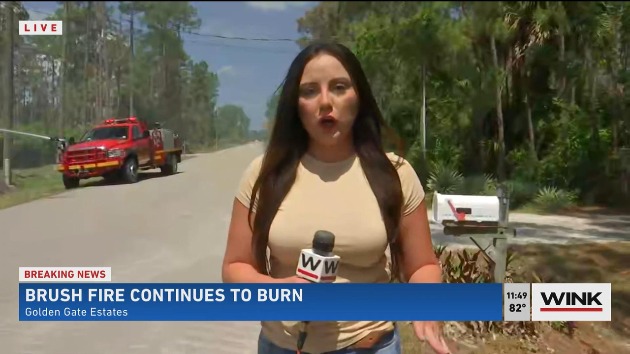 05.23 - 16.30.00 - WINK News @ 11 30AM. Local news, sports and weathe....ts_snapshot_17.09_[2021.05.