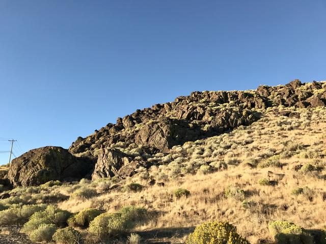 [Image: A4155956-727_C-4_DEF-_A94_E-_EDDF3_C577_C9_C.jpg]