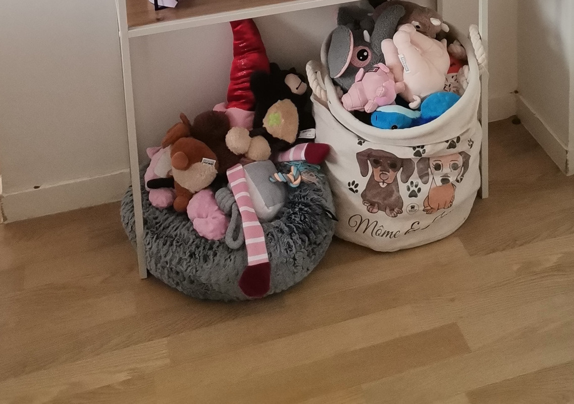 [Image: IMG-20250403-181511.jpg]