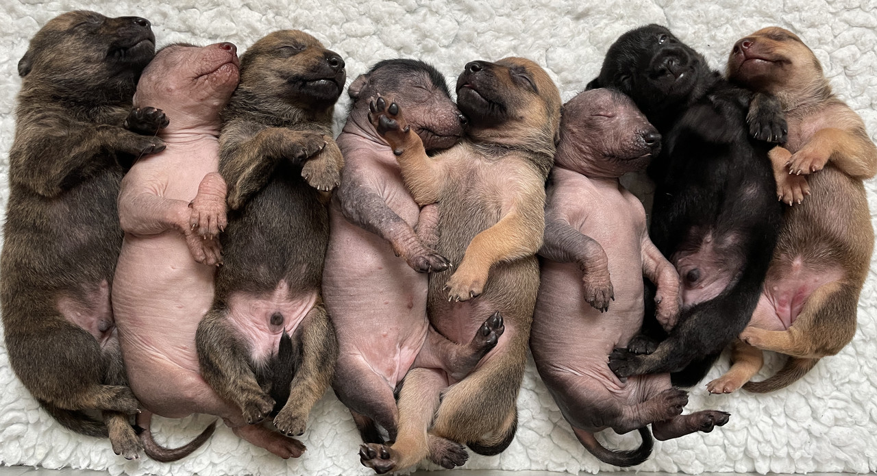 AB76E1B0-8A16-46C5-A5EC-1F8351C562D8_1_201_a