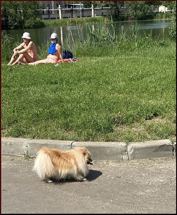 https://i.postimg.cc/9MgRZtyW/46.jpg