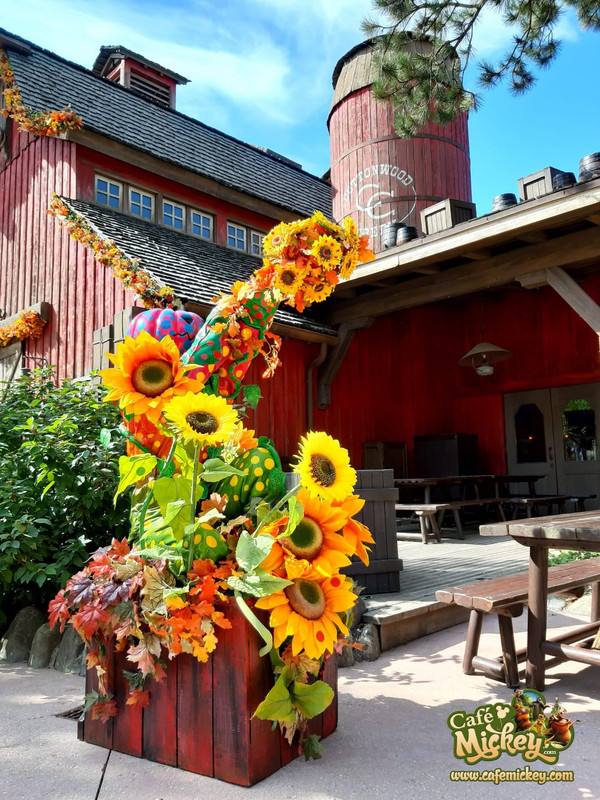 WhatsApp Image 2020-09-03 at 11.44.08 (1)