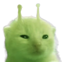 glorp glorp