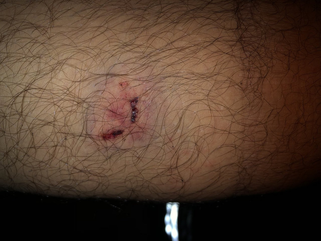 54BB1103-6B8D-42FD-87D8-511540FC9947