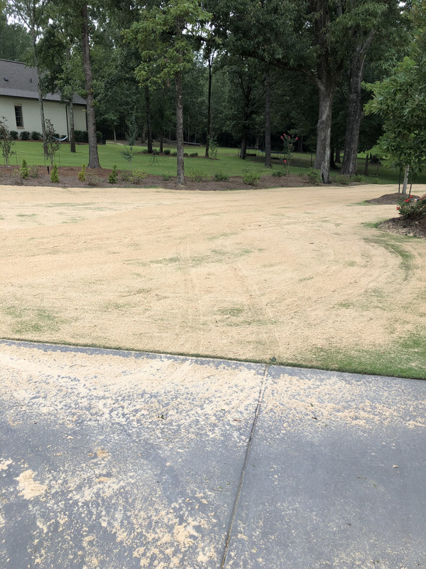 EF5A7F85-BE0B-46AF-A981-91DF98D31320