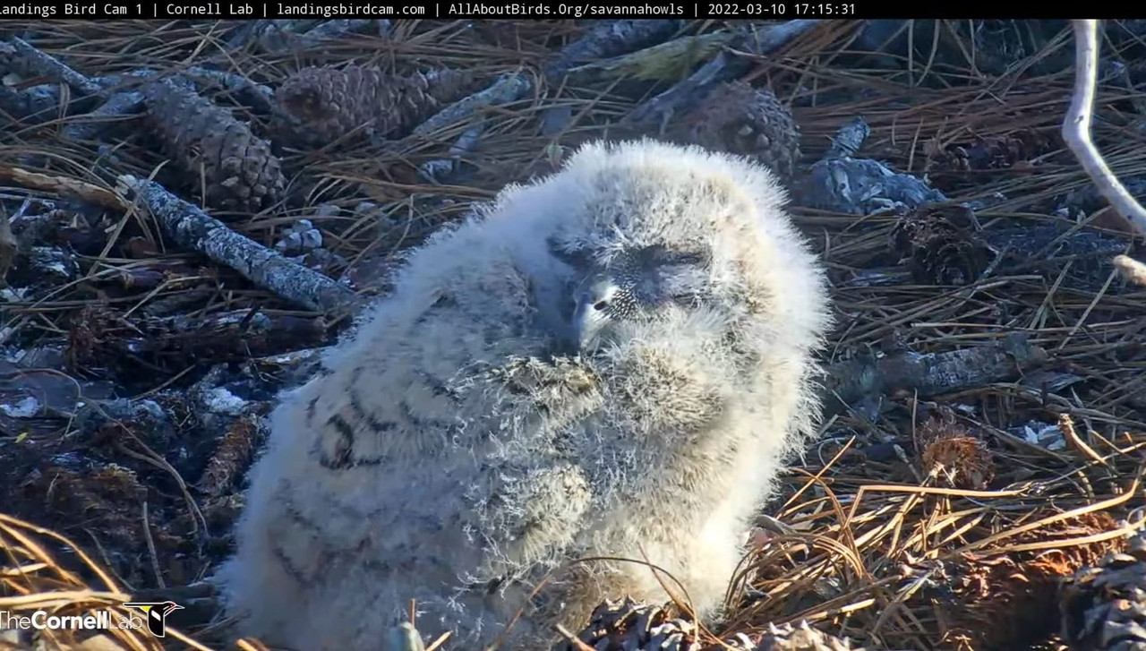 WhatsApp Image 2022-03-13 at 9.19.28 AM (1)