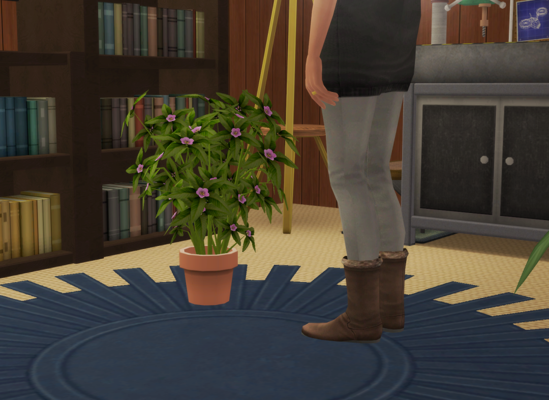 Sims2-EP9-RPC-2024-03-24-20-36-03-47
