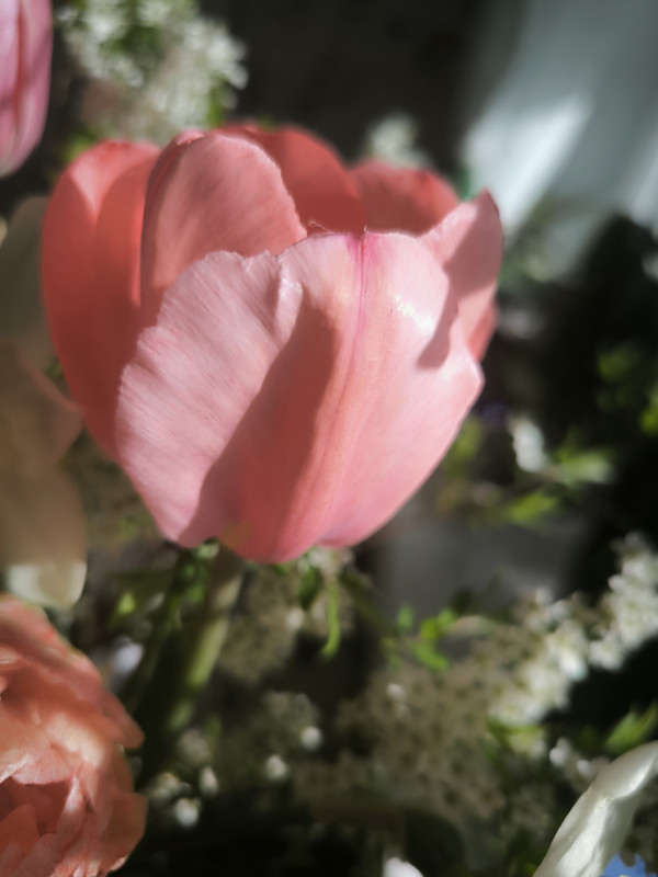 IMG_20250428_092057