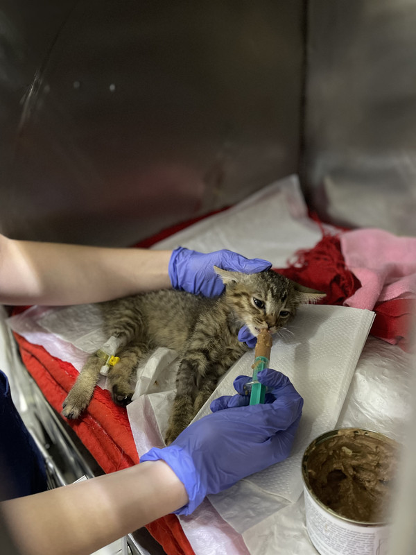 8158ECE2-A9AB-450B-97D8-C7AE0D23D30D