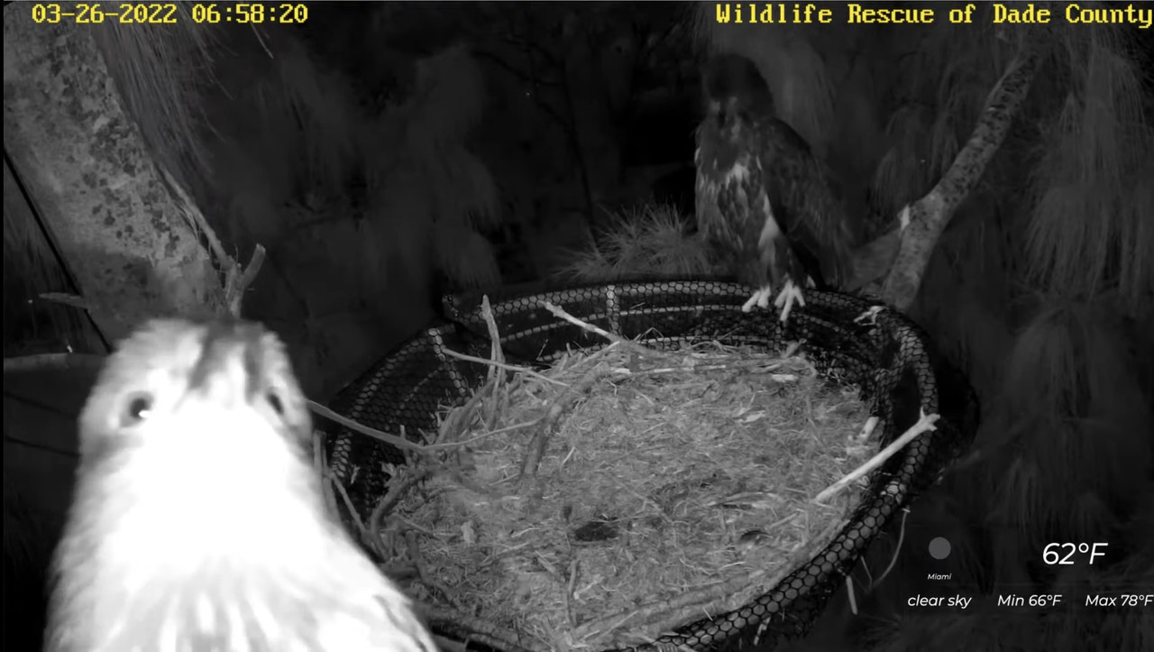 B3D33A04-0679-496A-99DC-32819EF2C566