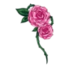 https://i.postimg.cc/9MhBMWJK/IMG-2437.webp