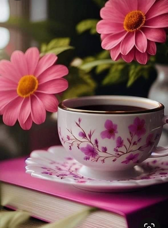 Screenshot_20230316_005258_Pinterest