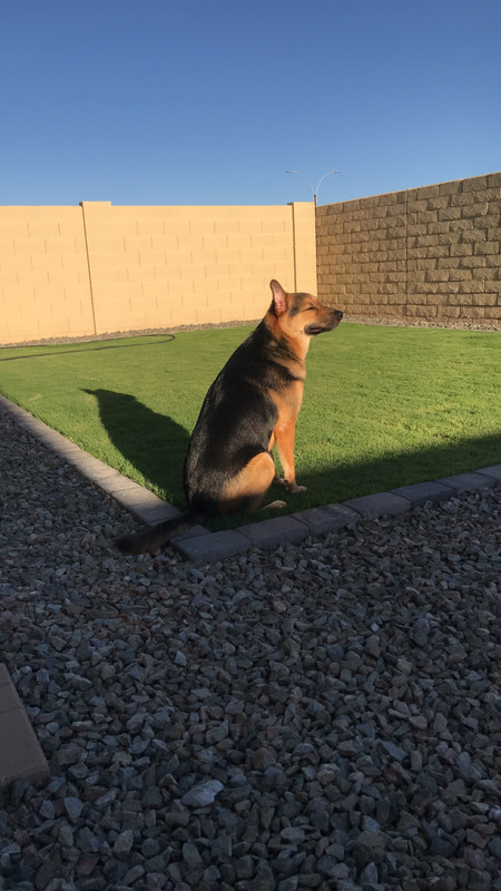 4C0641EC-F8AC-4E21-9E9D-71ABDEB0F164