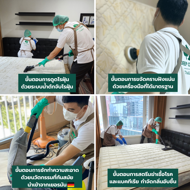 เครื่องมือซักพรมและโซฟามาตรฐานเยอรมัน