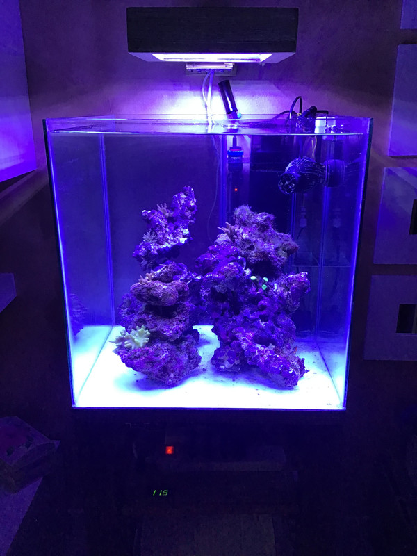 014B6EE5-4F88-467A-8AFE-B56EB5A27438