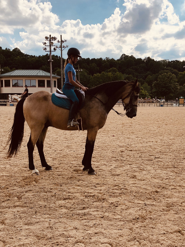 655CB3CB-2182-42BE-9F02-DCB6A6F24E8A