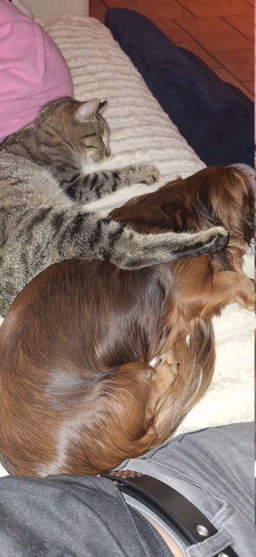 [Image: 20251004-204856.jpg]