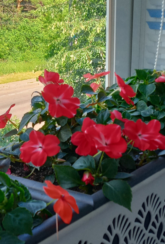 IMG_20230706_154321 (1) (1)