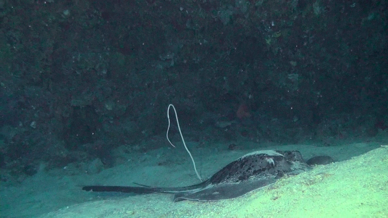 vlcsnap-2023-12-21-20h44m20s128