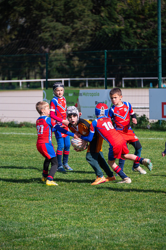 tournoi-de-latlantique-2026-adonis-griffon-182-55180388982-l