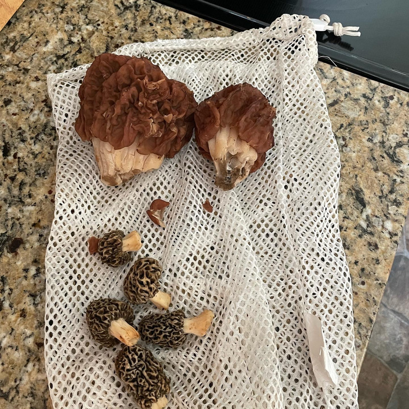 F0D89BFB-B646-4473-8A45-138C76916F84