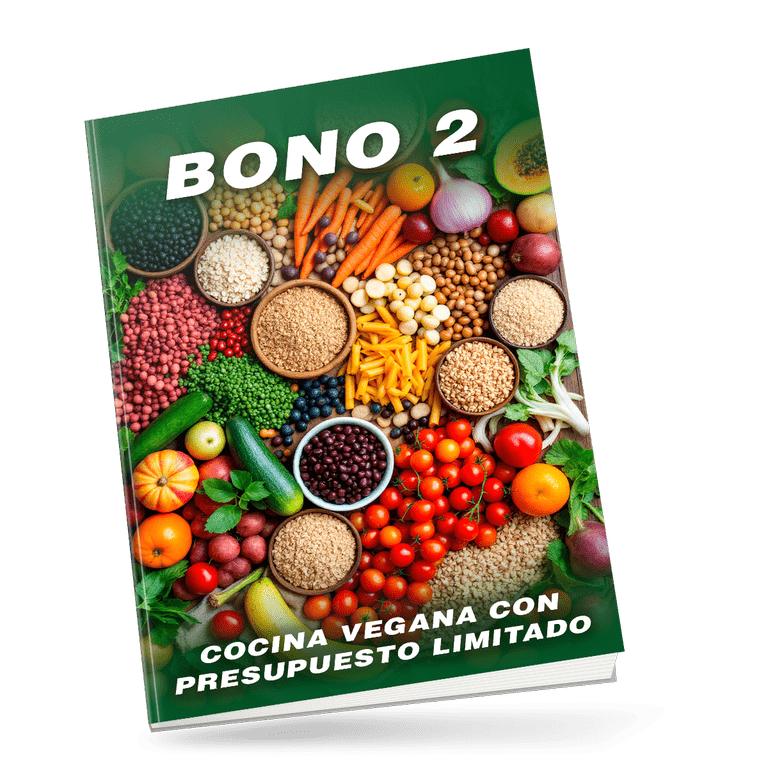 Bono 2