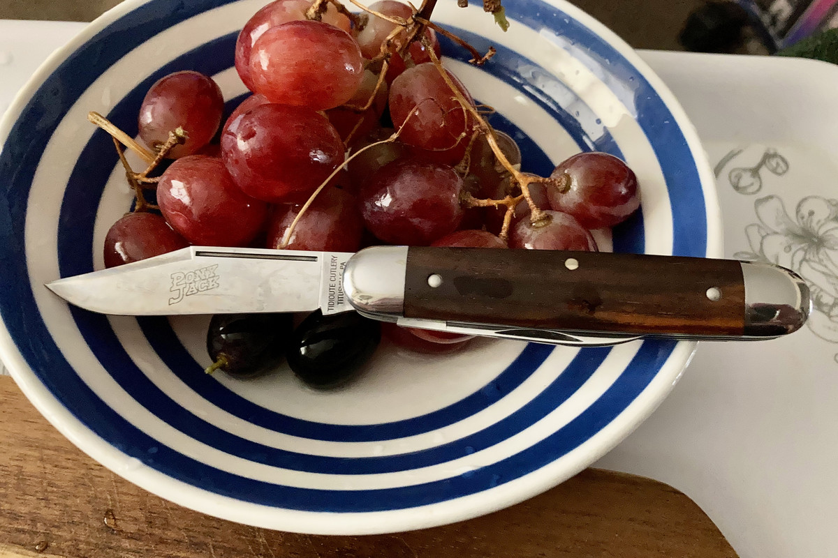 5554E30E-5DF0-47D2-BF5D-BCA919D4DB6F