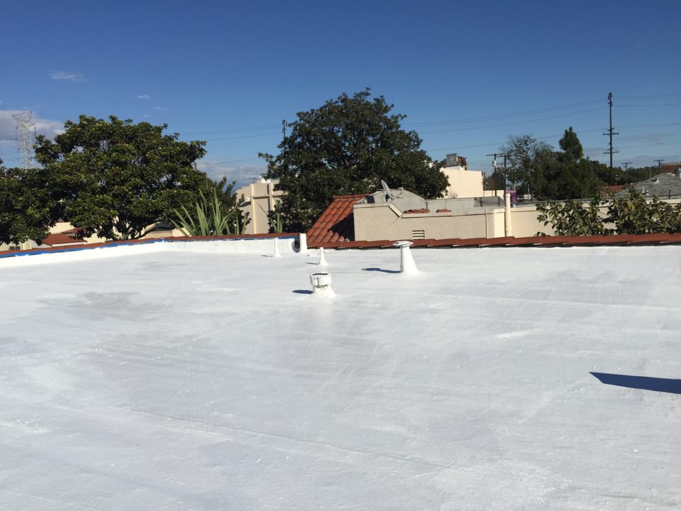 ayegh-sefid-bam (20)