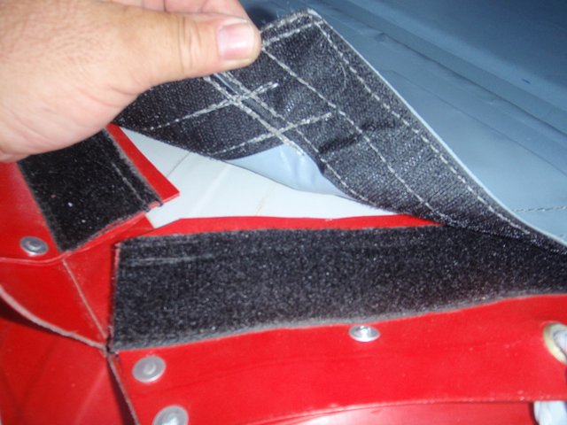 mimosos en berisso 217