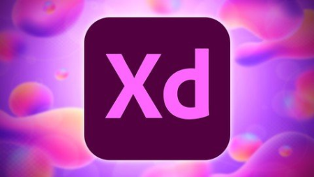 Adobe Xd & UX Design | Formation Complète 2021