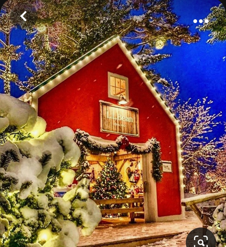 Screenshot_20231023_225053_Pinterest