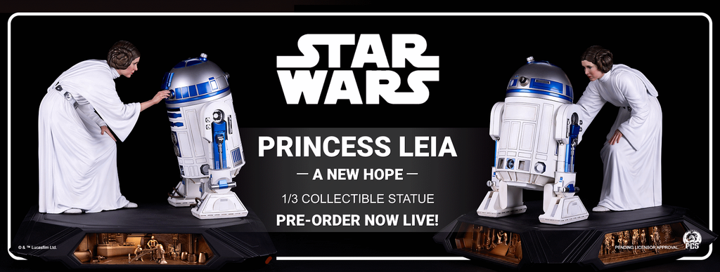 [Bild: FBBanner-PCSPrincess-Leia-PO.png]