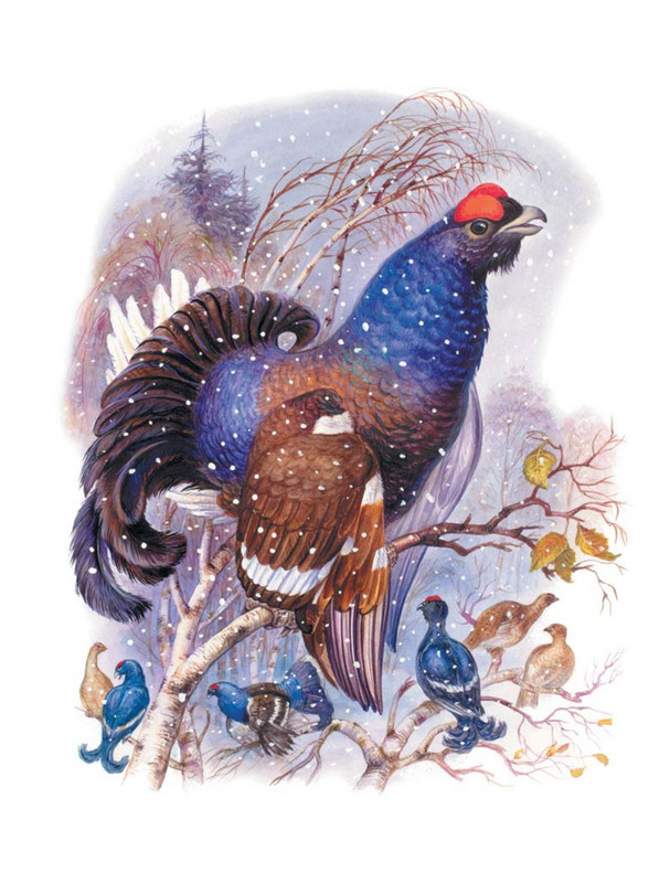 Shim-Eduard-Skazki-o-zhivotnyh-2020-page-0057