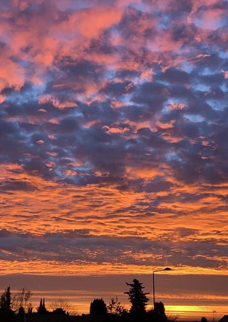 1BB807A9-8844-4108-A559-CE8F52FD7F4A