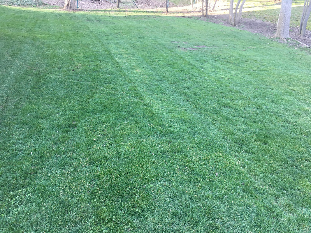 5655BD0E-FB38-416A-BE15-8DAC1067DB6C